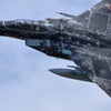 F-15DJ_AGR_9872