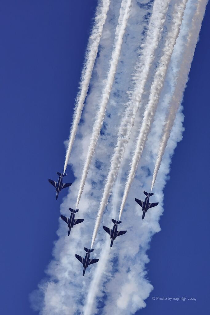 T-4_Blue_2633