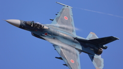 F-2A_8SQ_4985