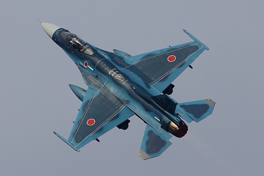 F-2A_8SQ_7430