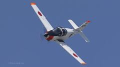 T-5_9137