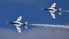 T-4_Blue_1369