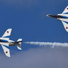 T-4_Blue_1369