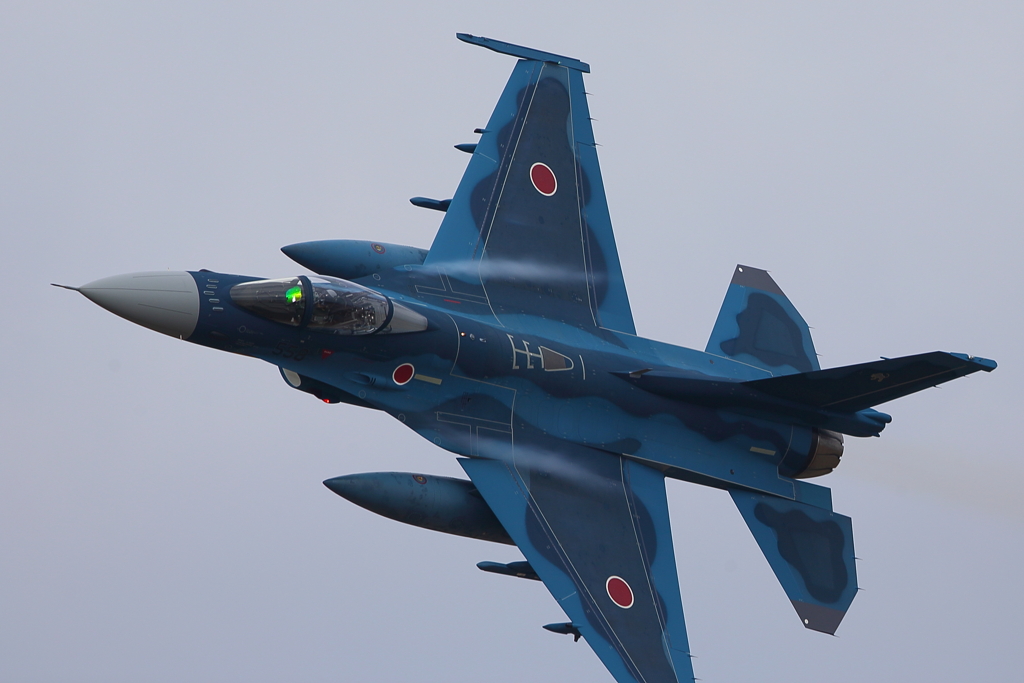 F-2A_8SQ_7995