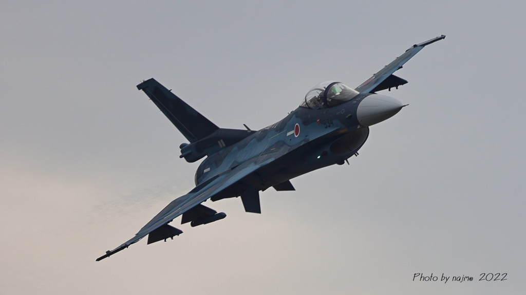 F-2A_3SQ_8790