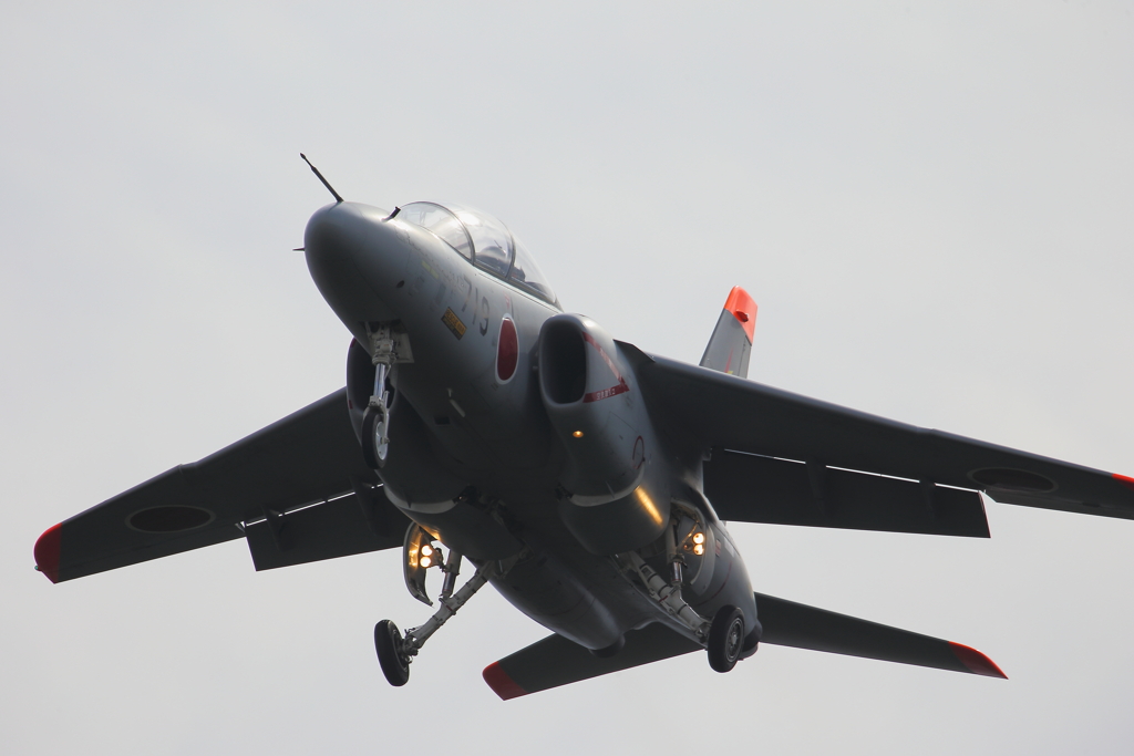 T-4_1154