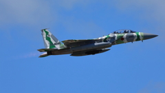 F-15_AGR_1341