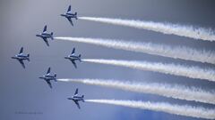 T-4_Blue_8302