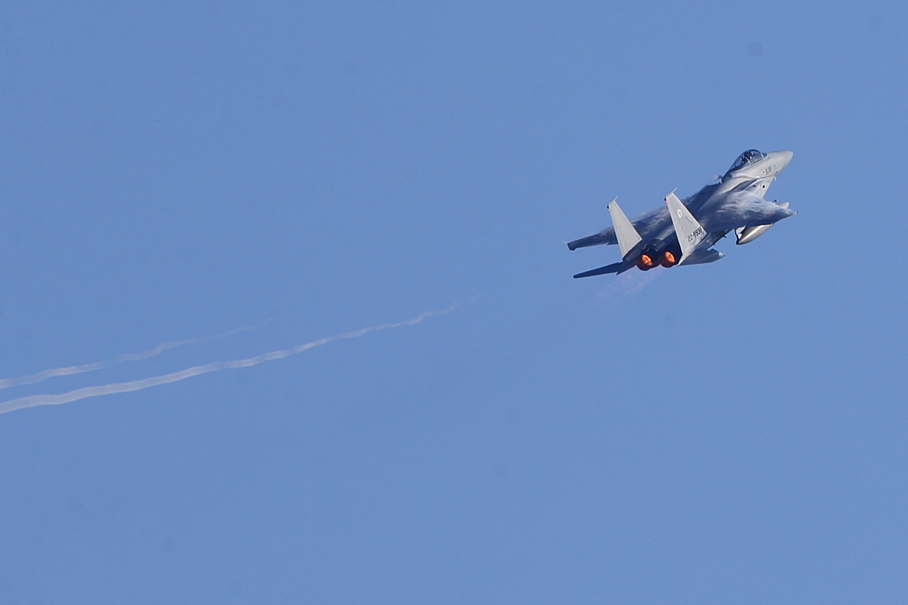 F-15J_303SQ_9458