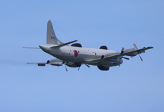 UP-3D_6039