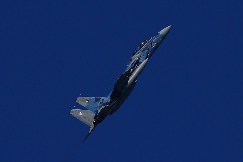 F-15DJ_AGR_4651