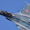 F-2A_8SQ_5551