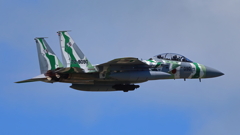 F-15_AGR_1354