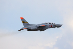 T4_6521