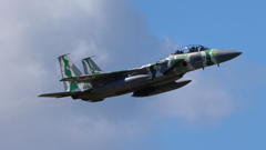 F-15_AGR_1327