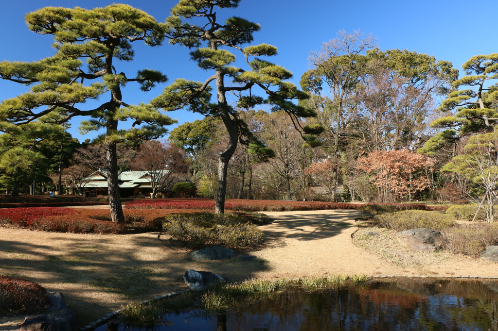 皇居東御苑06