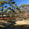 皇居東御苑06
