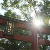 根津神社1