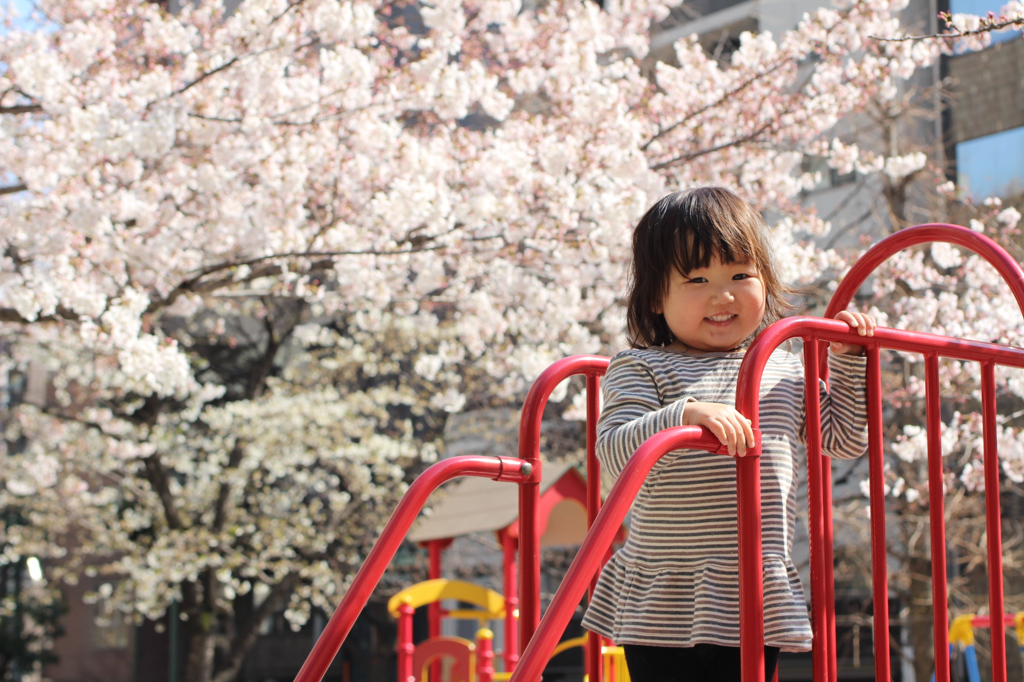 桜と笑顔が満開