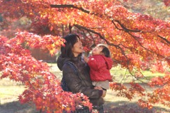 母と娘と紅葉