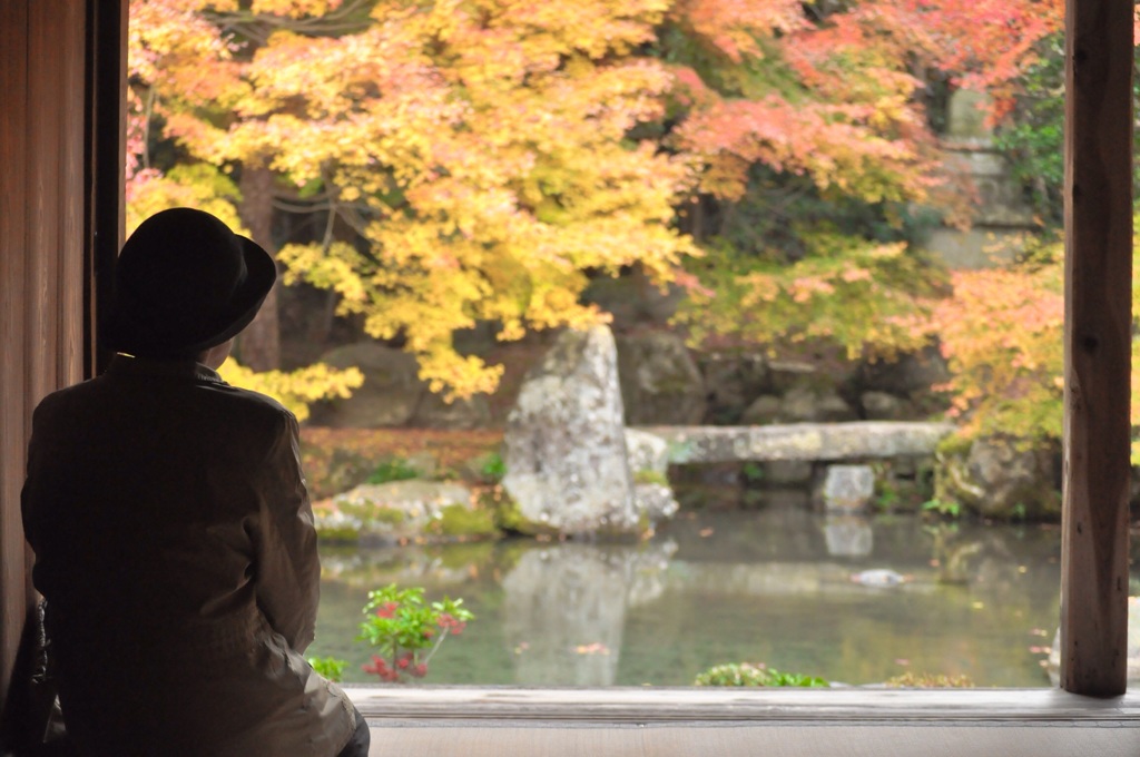 紅葉狩り一人旅