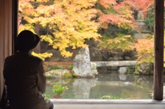 紅葉狩り一人旅