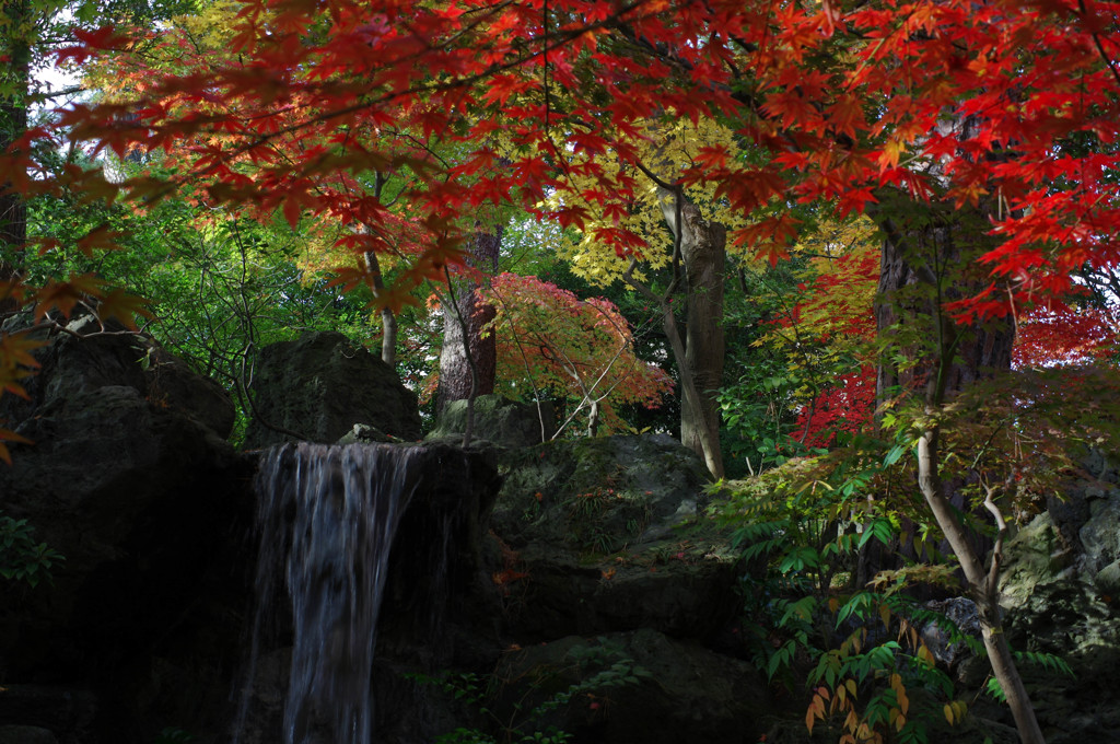 日本庭園