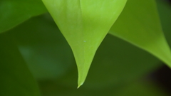 DSC00282