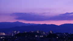 DSC00656