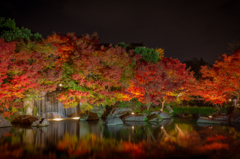 紅葉隠れ