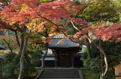 円覚寺