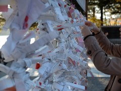 赤城神社　おみくじ