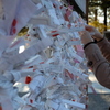 赤城神社　おみくじ