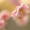 このままずっと