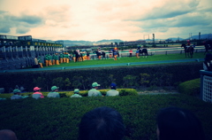 春競馬