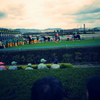 春競馬