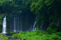 白糸の滝