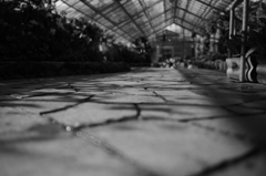 散歩道