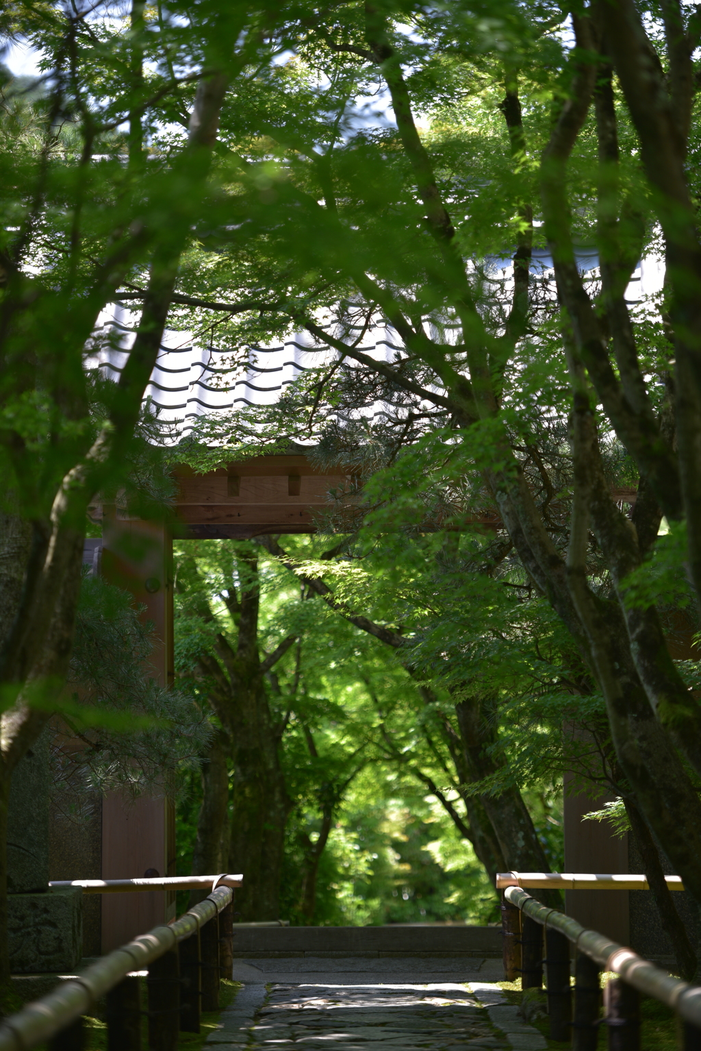 光悦寺 山門
