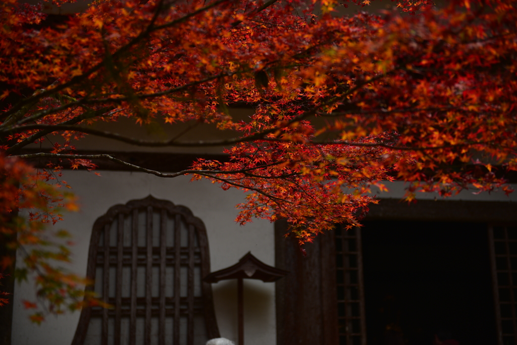 高源寺 仏殿