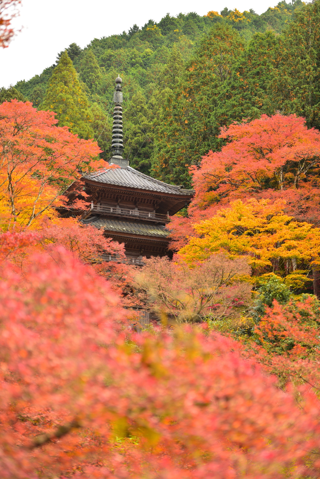 高源寺 多宝塔