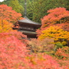 高源寺 多宝塔