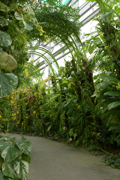 Welcome to Botanical Gardens!