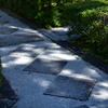 木漏れ日の参道