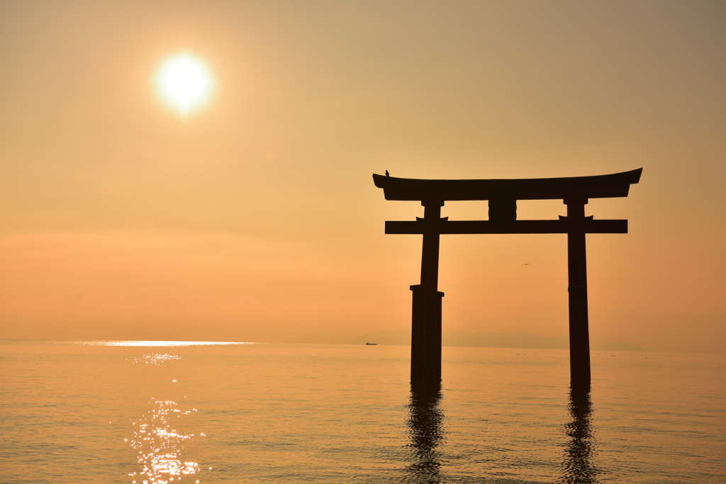 琵琶湖の朝