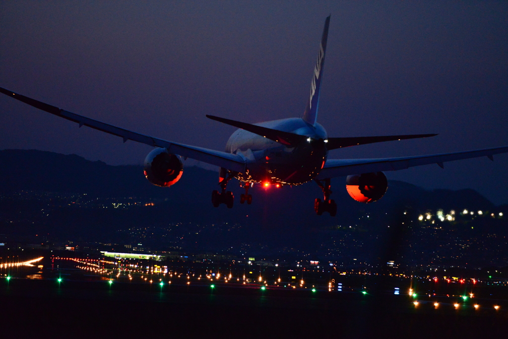 ANA × LANDING