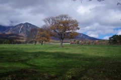 IMGP8774