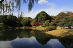 快晴の日本庭園