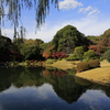 快晴の日本庭園