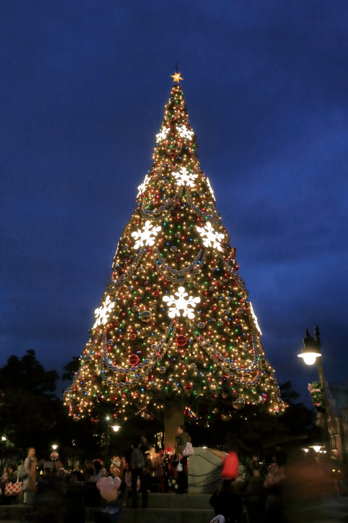 X'mas Tree@TDS